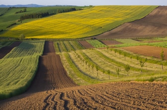 На Львівщині у власність громади повернули земельні ділянки вартістю 24 млн грн