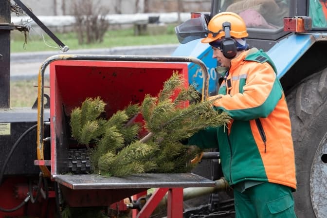 В Києві працюватимуть 44 пункти прийому ялинок. Адреси