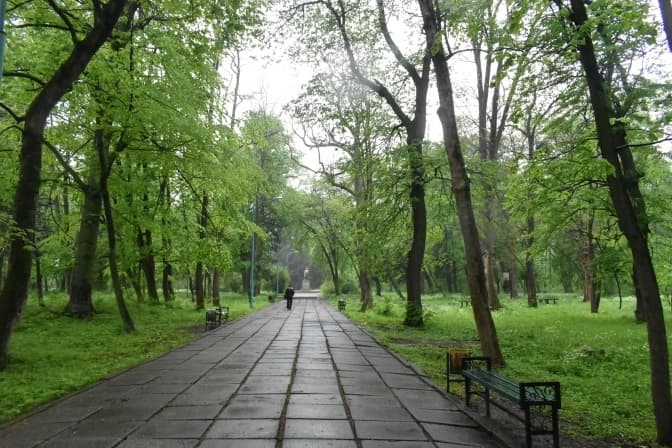 У парку на Львівщині планують реконструкцію за понад 66 млн грн