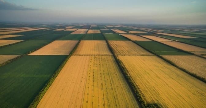 Верховна Рада проголосувала за відкриття ринку землі. Що це означає