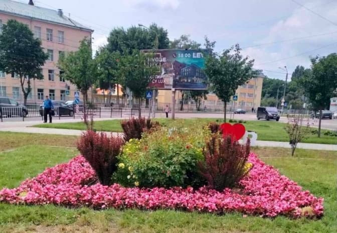 У Личаківському районі облаштували квіткові клумби. Фото