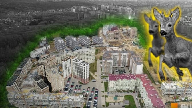 «Тут парк із косулями, а нам показують 10-поверхівки», або Ще раз про Під Голоском