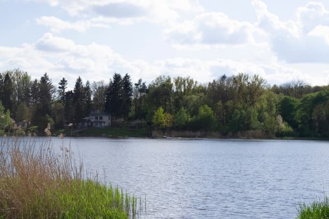 Майже 700 гектарів зеленої зони: у Львівській громаді створюють три нові заповідники