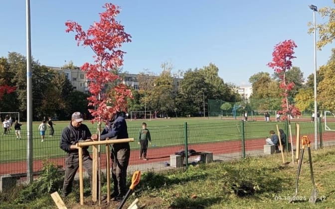У Львові озеленюють школи та садочки: 19 закладів освіти отримають нові насадження