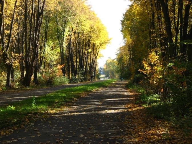 У Львові досі не визначили межі дев’яти парків