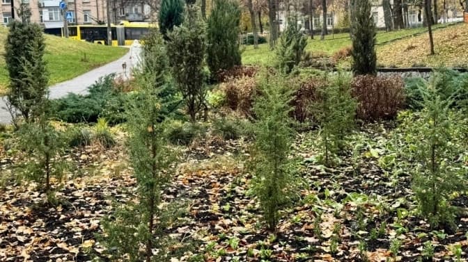 У Куренівському парку висаджують багаторічні квіти та декоративні злаки