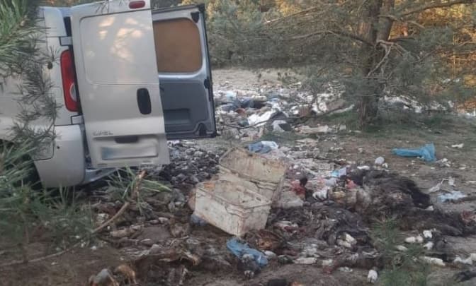 На Львівщині двоє чоловіків скидали тваринні рештки на незаконне сміттєзвалище