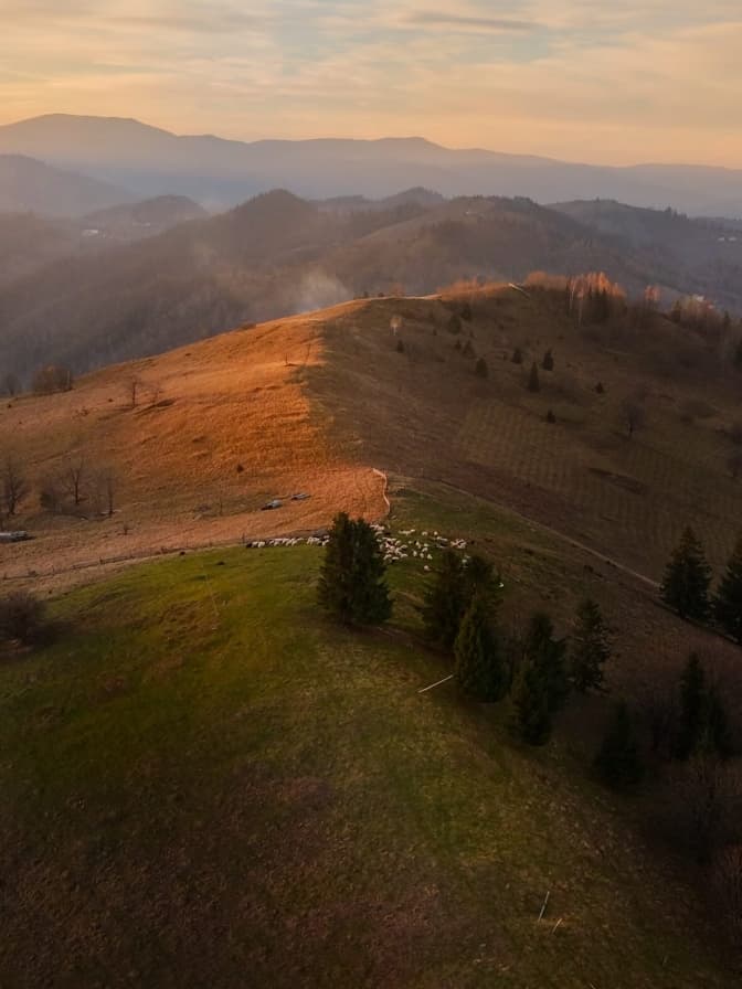 Фото: Антон Птушкін