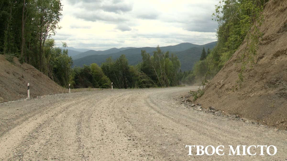 Збудували 8 кілометрів дороги крізь Карпати: що знищили заради вітряків на полонині Руна