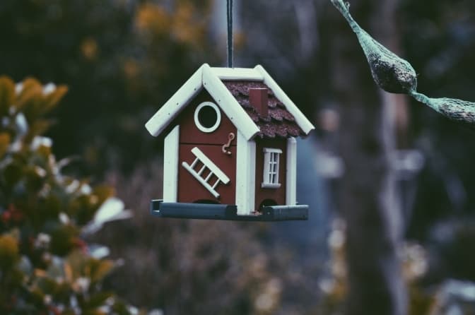фото: unsplash.com