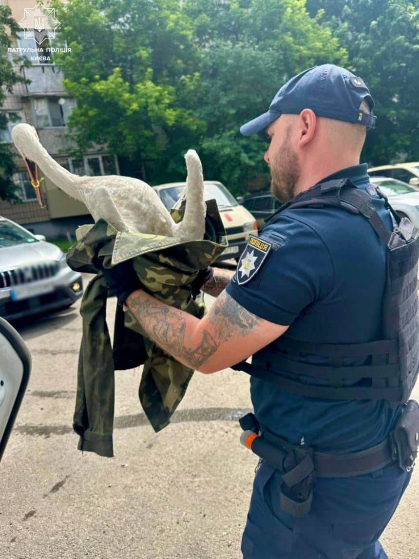 Фото: патрульна поліція Києва