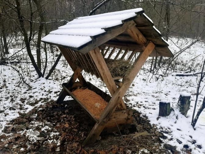 У лісах Києва облаштували 45 годівниць для диких тварин
