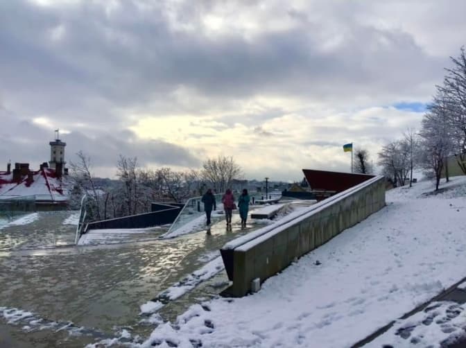 Біля Меморіалу Небесної Сотні у Львові незабаром висадять чорні сосни