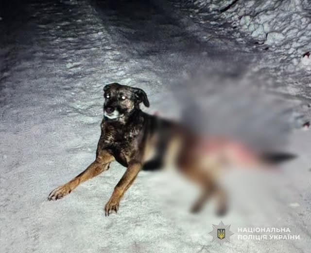 Фото: Національна поліція України