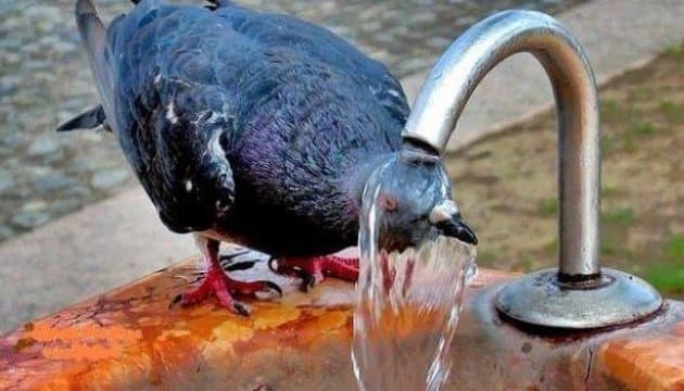 Львів’ян попереджають про спеку до +30°. Як вберегтись