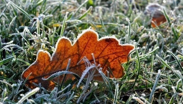 Якою буде погода сьогодні у Львові