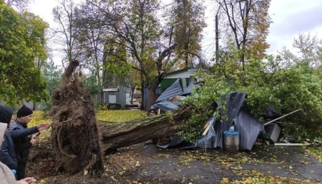 У Києві розповіли про наслідки суботнього буревію
