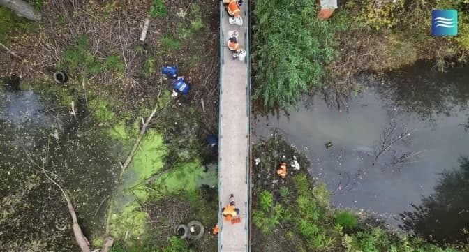 У Києві очистили озеро Зариваха та демонтували незаконну дамбу
