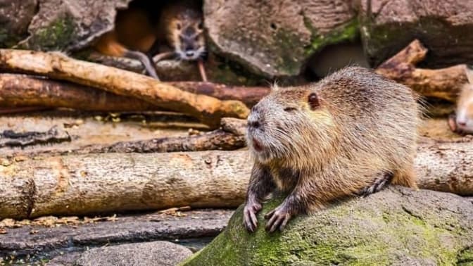 Фото: КП УЗН Дарницького району Києва
