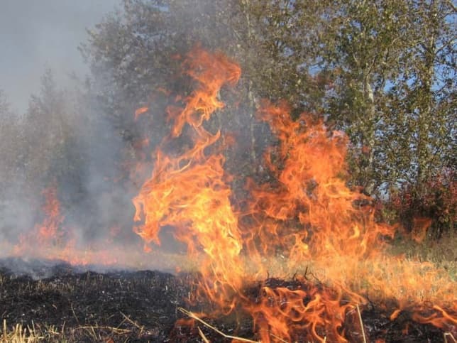 Поліція Львова розслідує пожежу в поселенні ромів