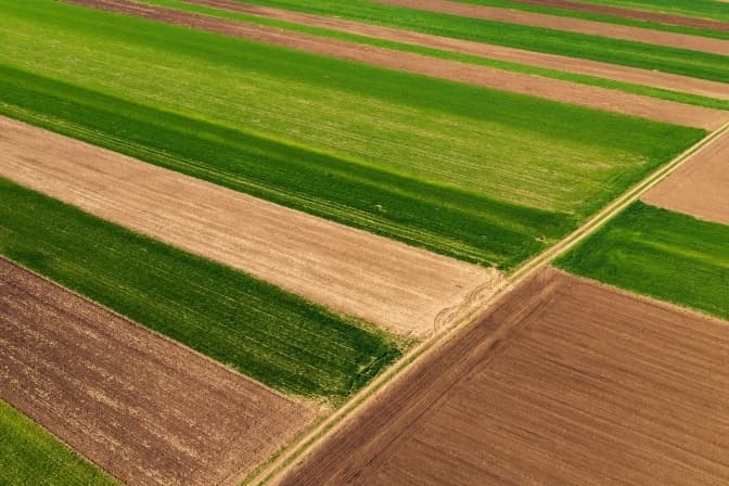 У Львові продадуть п'ять земельних ділянок. Одна із них коштує майже 80 млн грн