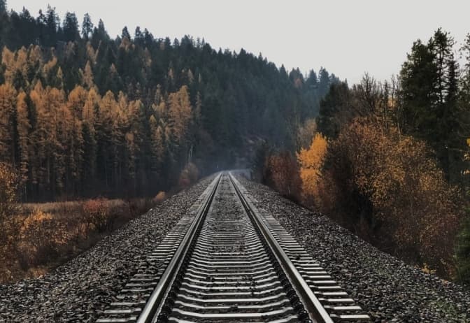 Фото: unsplash