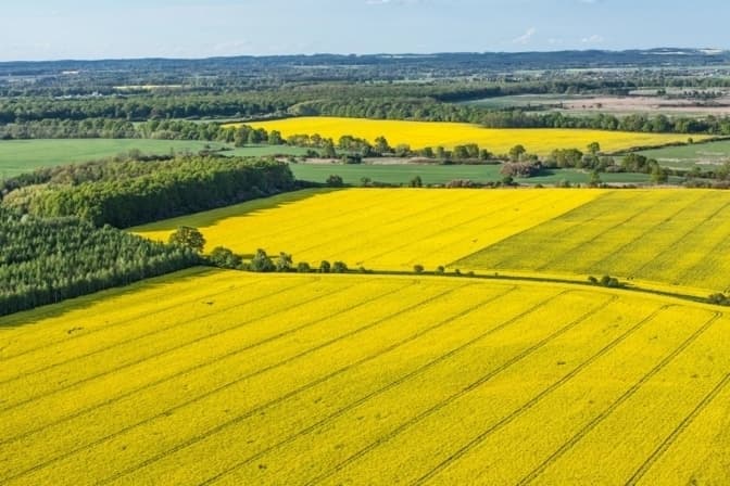 На Львівщині виставили на торги ще п'ять земельних ділянок