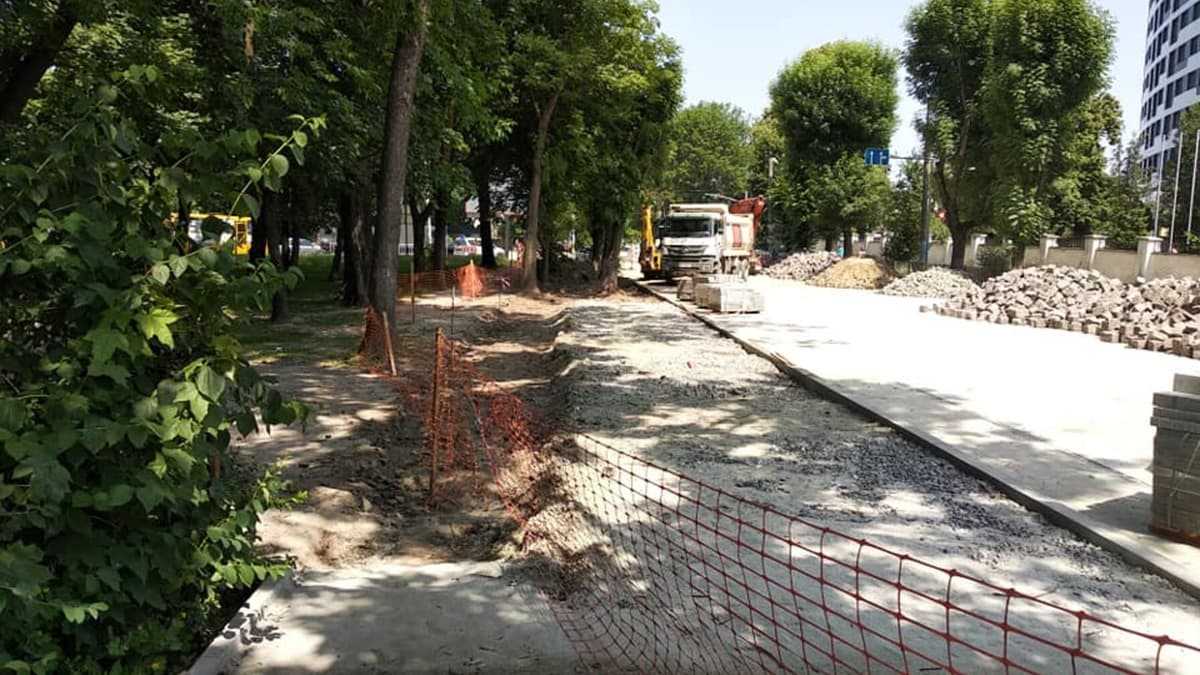 Понад 20 дерев видалять у Львові: де саме і чому проводять роботи