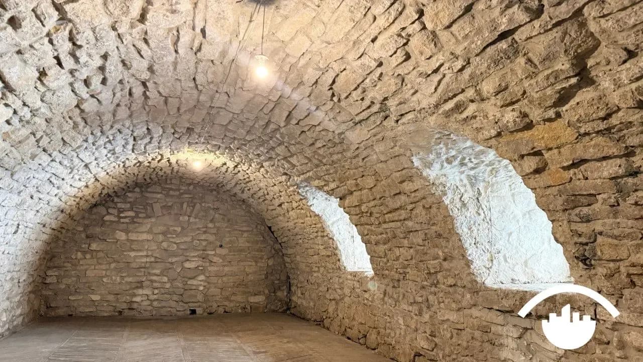 У підземеллях Свірзького замку живуть кажани