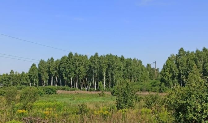 Суд повернув Львову третю ділянку заказника «Торфовище Білогорща»