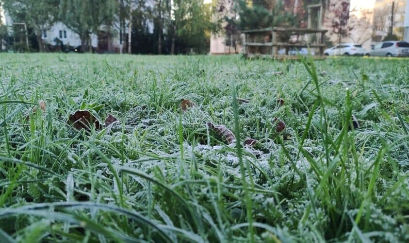 Заморозок. Ілюстративне фото