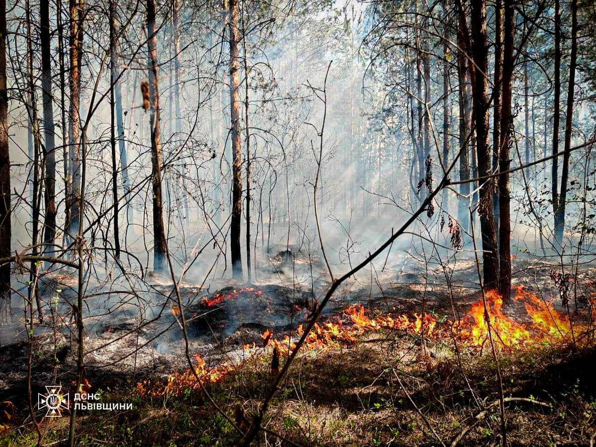 Штрафи сягали понад 6 тисяч гривень: у Львівській громаді з початку року за паління трави оштрафували 21 людину