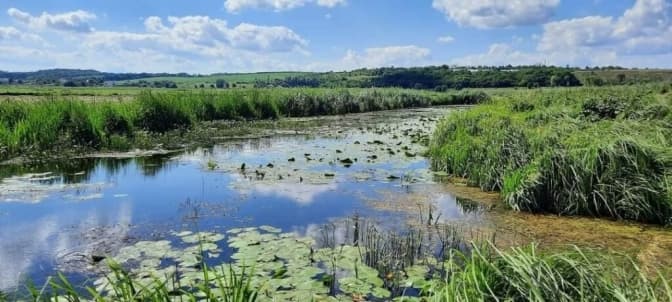 КОДА замовила розробку плану ландшафтного парку "Приірпіння"