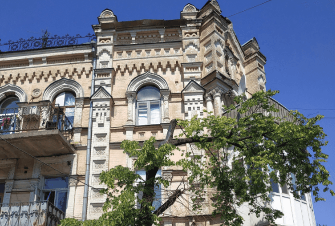 На Подолі в Києві врятували липу, яку неправильно обрізали комунальники