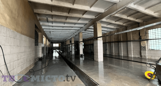 Як часто миють автобуси у Львові та на що найбільше скаржаться пасажири