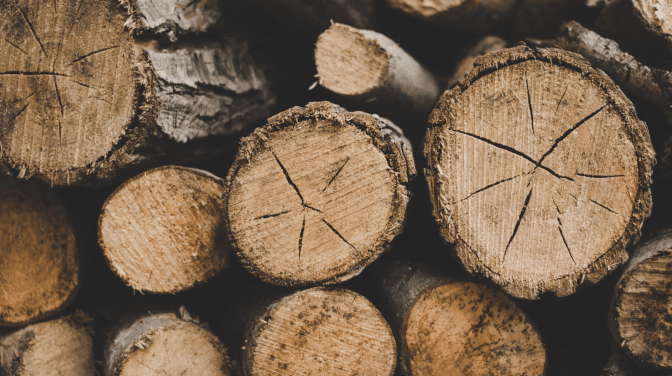 Фото: Unsplash
