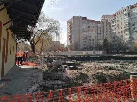 У Львові зрубали старі дерева довкола озера на Панча. Що висадять натомість
