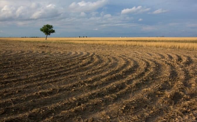 Громаді на Львівщині повернули землі рекреації вартістю понад 200 млн грн