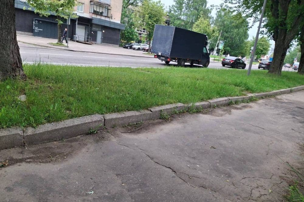фото: лмр