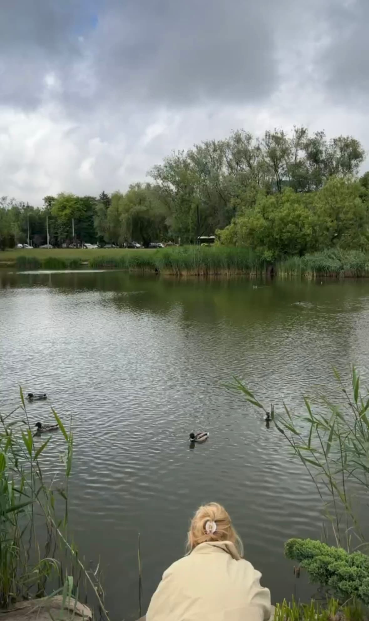 Скриншот із відео. Duck’s Lake, 2 червня