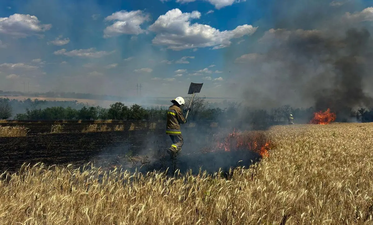 Через спеку та обстріли в Україні за добу вигоріло майже 118 гектарів екосистем. Мешканців Львівщини закликають бути обережними