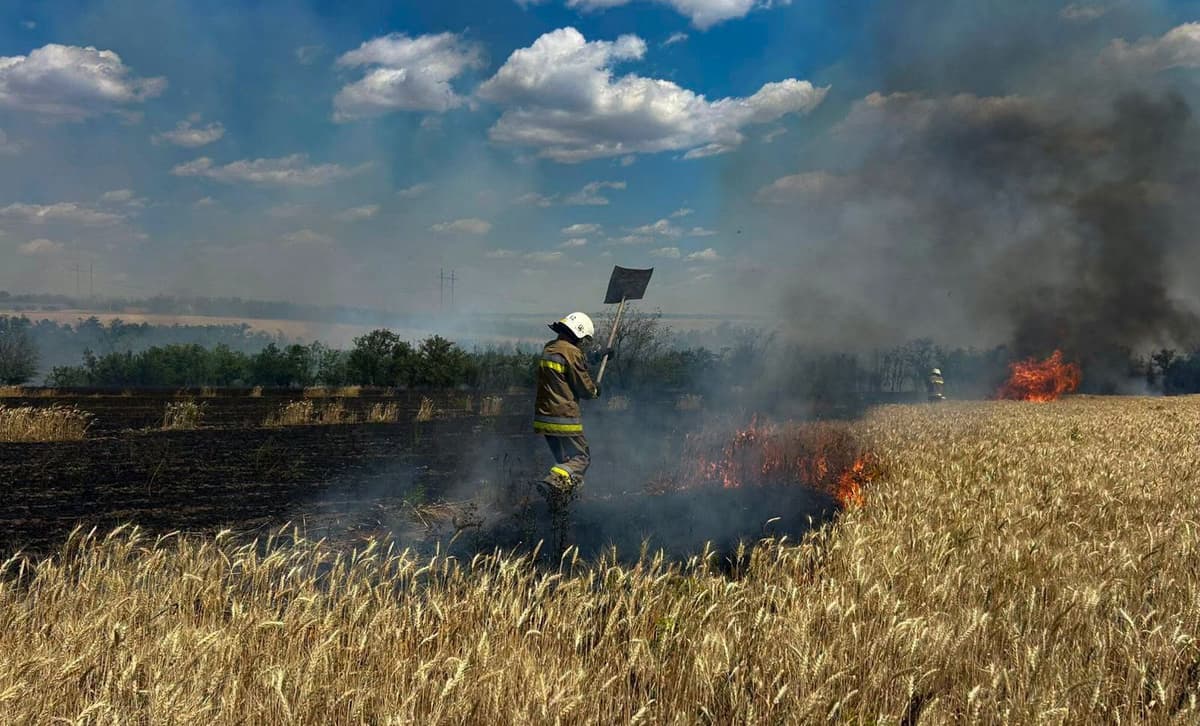 Через спеку та обстріли в Україні за добу вигоріло майже 118 гектарів екосистем. Мешканців Львівщини закликають бути обережними