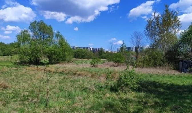 Громади на Львівщині продають права оренди на сільськогосподарські землі. Деталі