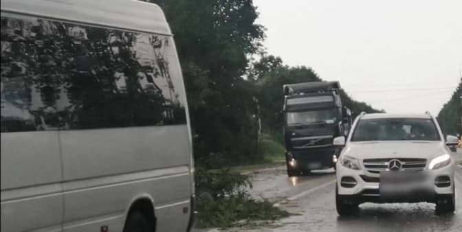 На Львівщині через негоду на трасу впало дерево. Рух ускладнений