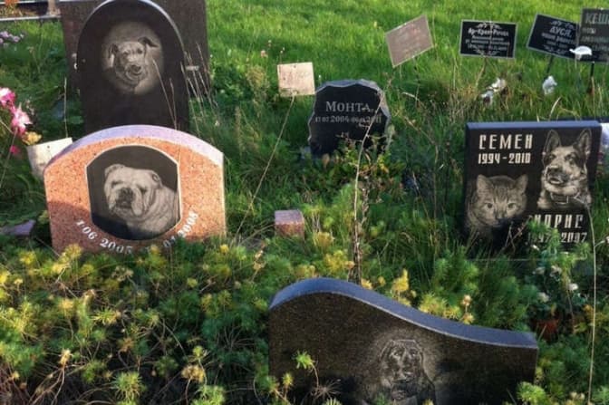 У Києві може з'явитися перше офіційне кладовище для тварин