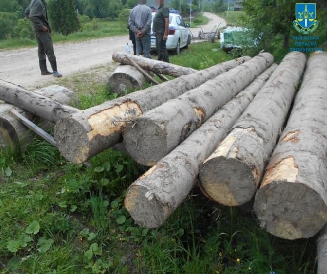 У природному заповіднику Львівщини незаконно вирубали дерев на майже 1 млн гривень
