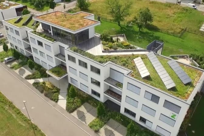 У Львові планують збудувати екоквартал з ваннами для дощівки та мохом на дахах