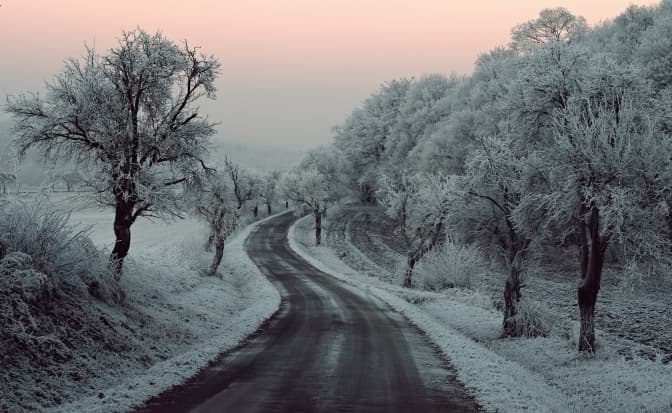 Фото: Unsplash