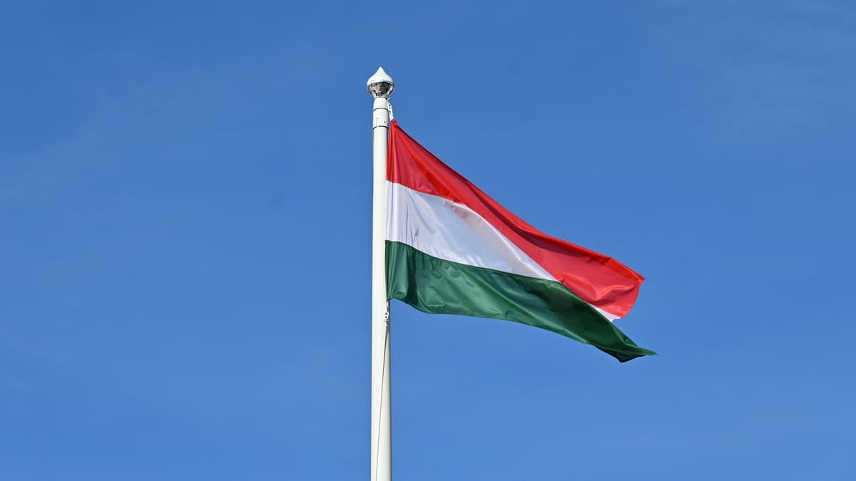 ВР оприлюднила законопроєкт про мови нацменшин: Угорщина пов’язує з ним переговори України з ЄС