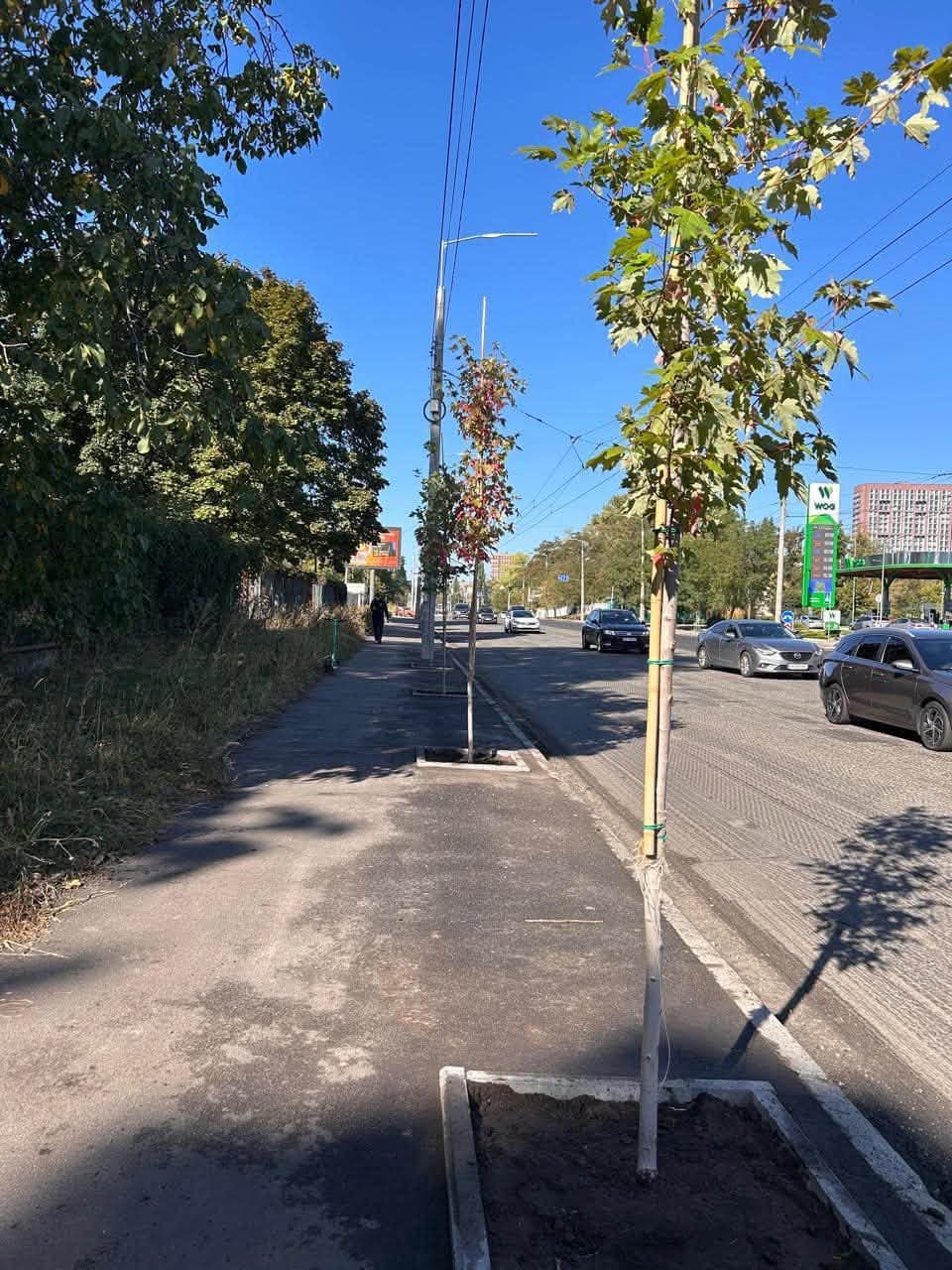 Фото: Київзеленбуд
